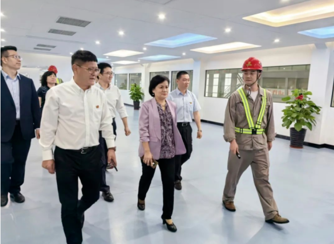 陈洁英到抖圈为du而生公司发展工作调研