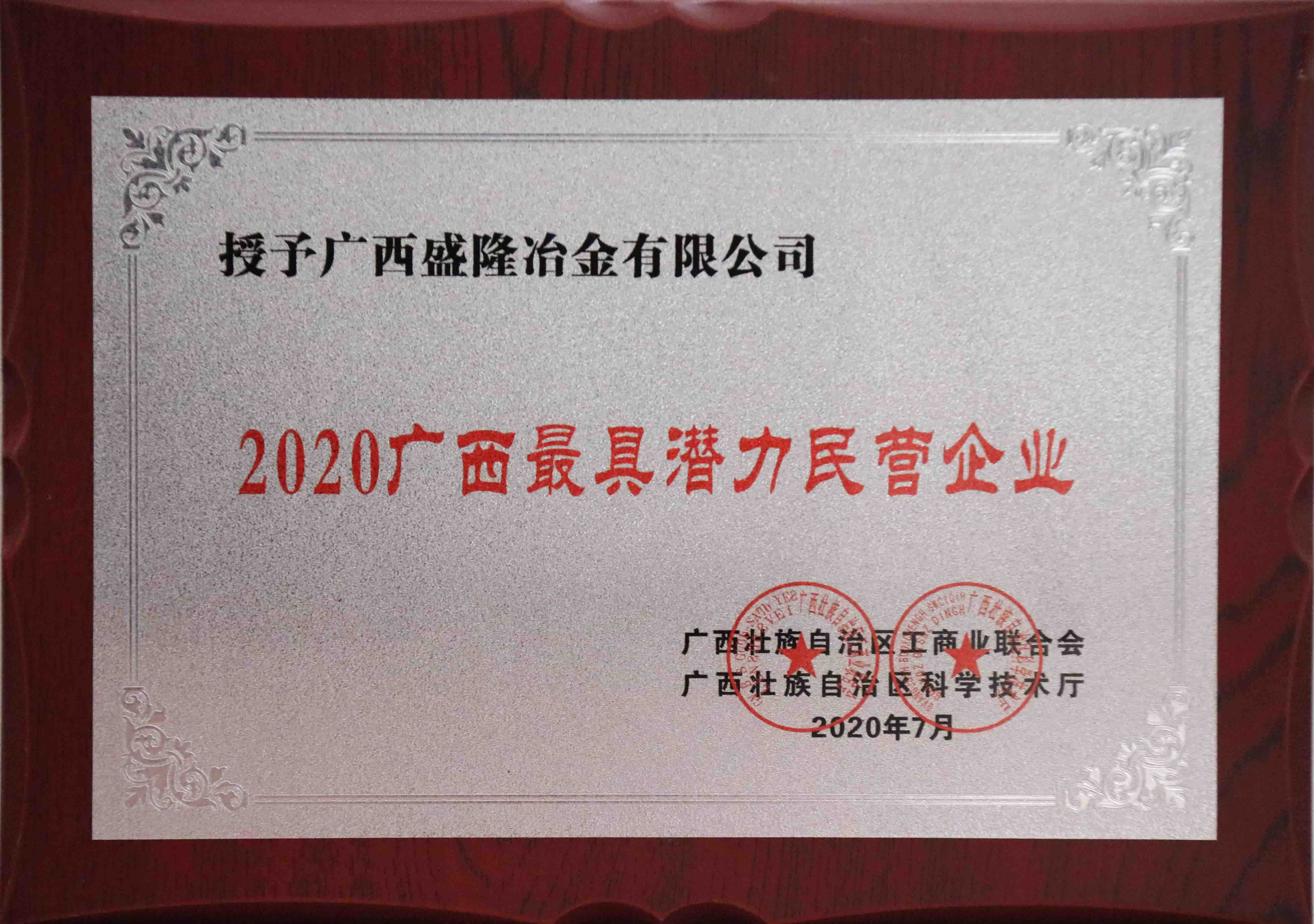 最具潜力民营企业